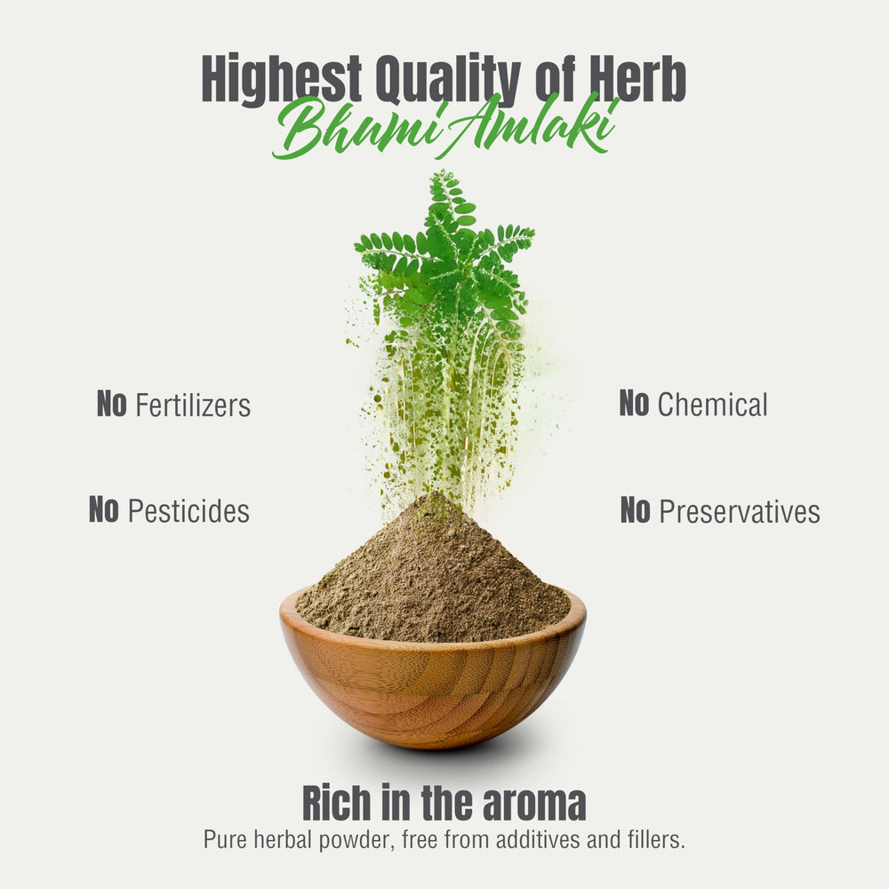 Ingredients panel showing 100% pure Bhumi Amalaki powder