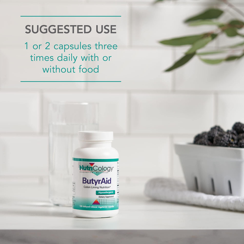 Bifidobacteria probiotics in the large intestine