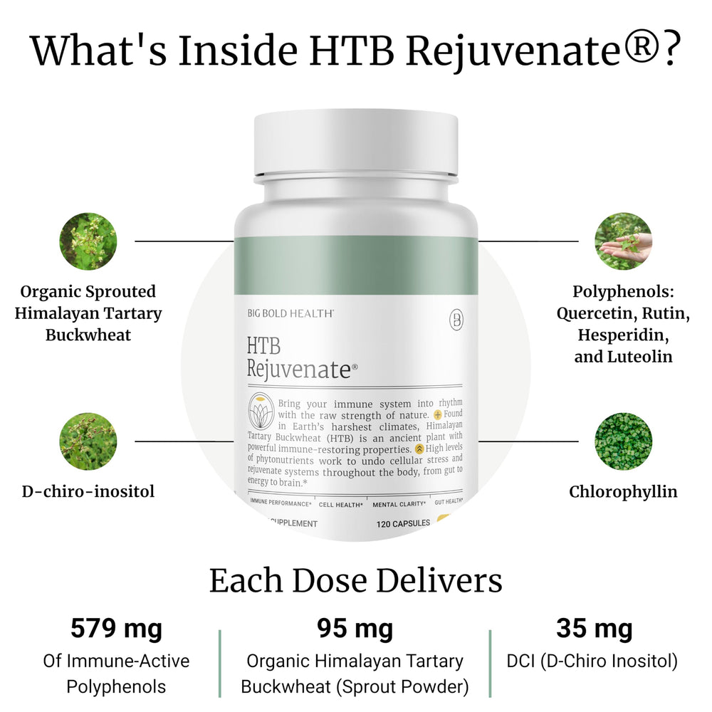 Graphic highlighting 579mg immune-active polyphenols per serving