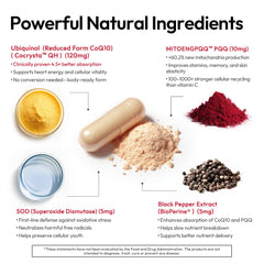 60 capsules bottle of BIGVITA CoCrystal CoQ10 dietary supplement