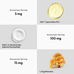 GMP-certified facility badge and third-party testing seals