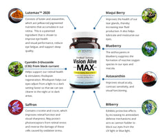 Bilberries and blueberries used in Vision Alive Max