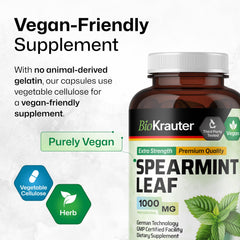 Mentha spicata leaf with 1000 mg dosage illustration