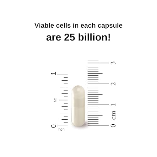Illustration of gut health and immune support from probiotics