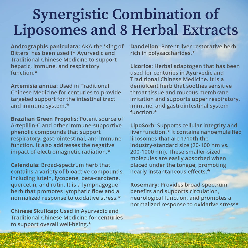 Concept image showing immune, respiratory, and gut support