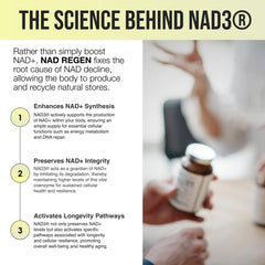 Cellular energy and brain health concept for NAD Regen