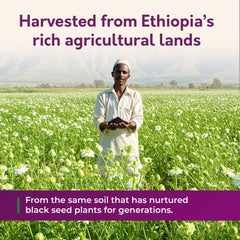 16oz glass bottle on wooden surface