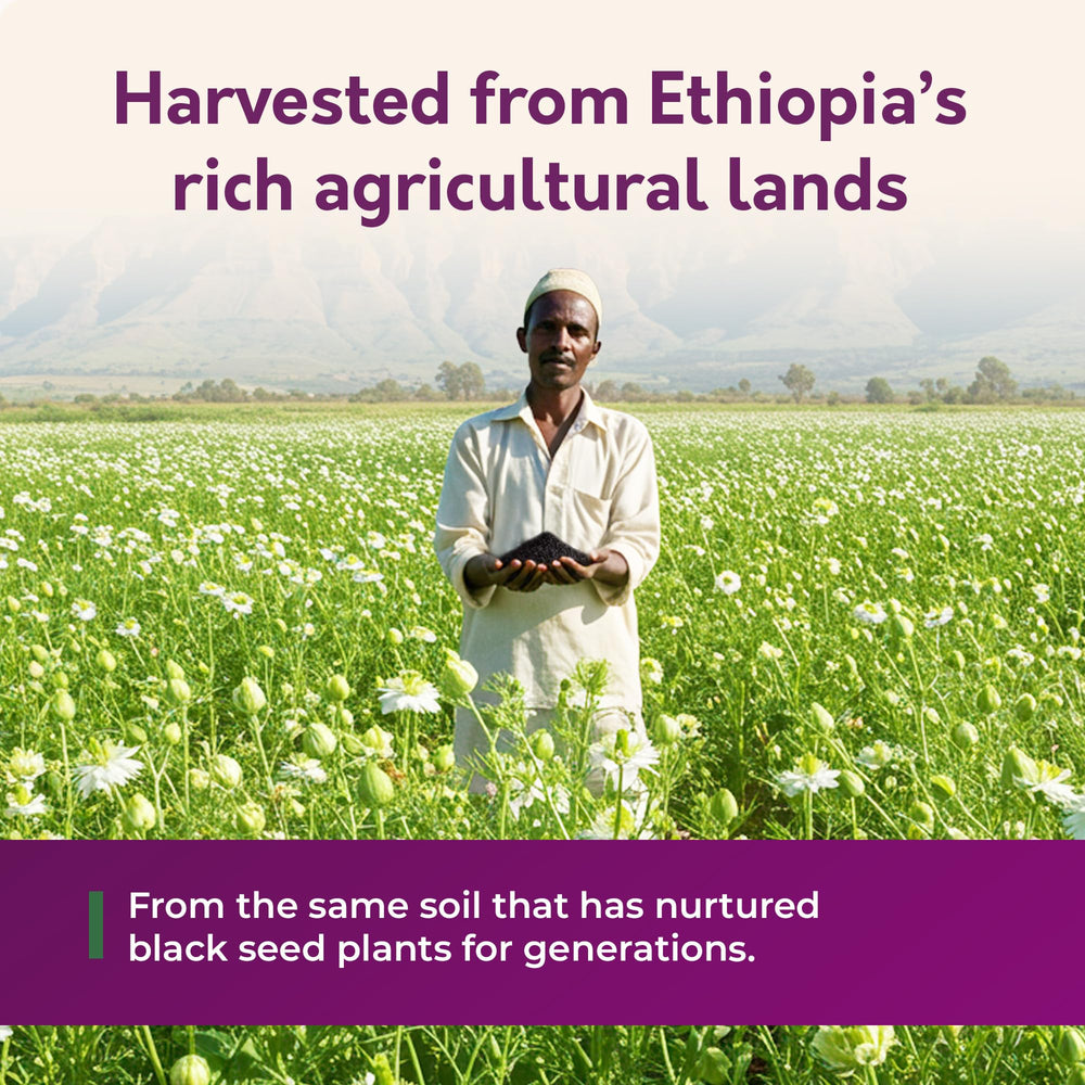 Ingredients panel of BioNatal Ethiopian Black Seed Oil