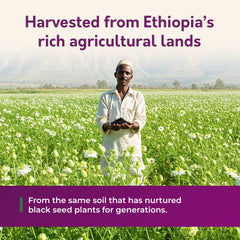 Ingredients panel of BioNatal Ethiopian Black Seed Oil