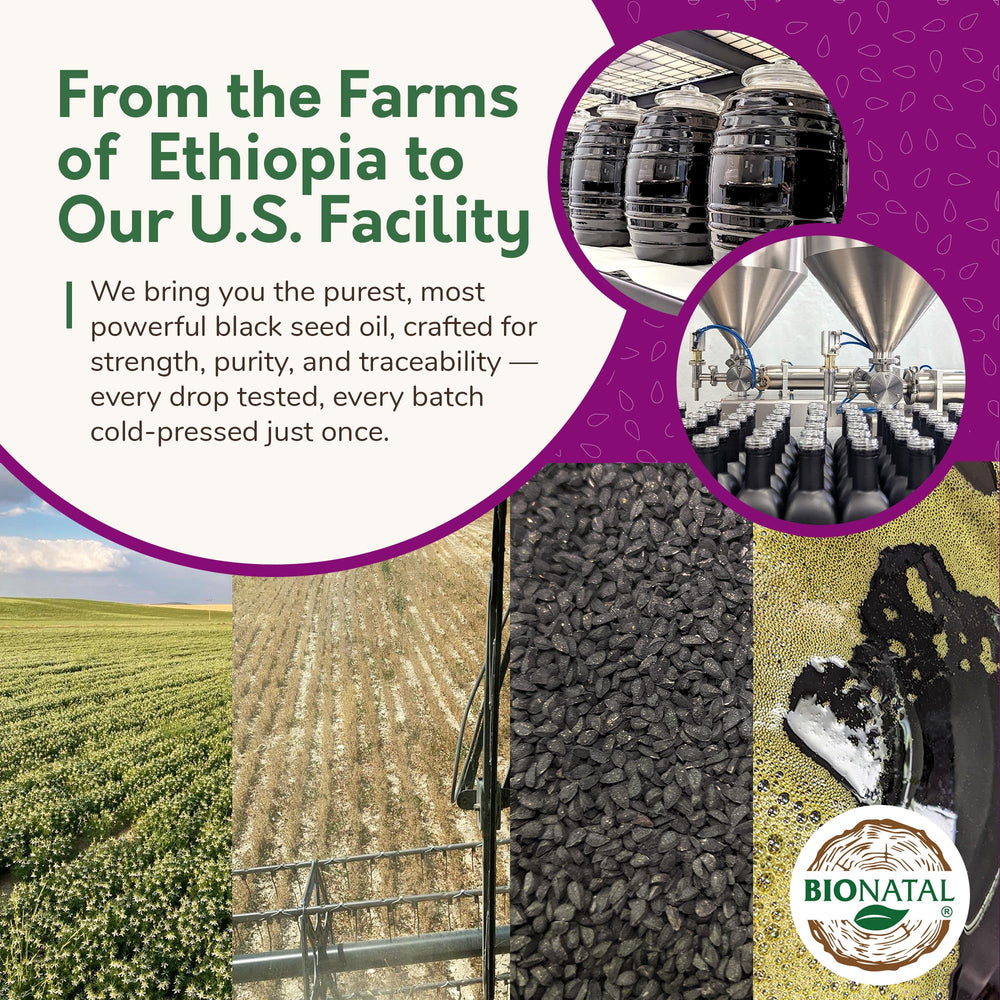 Nigella sativa seeds used in BioNatal oil ingredients