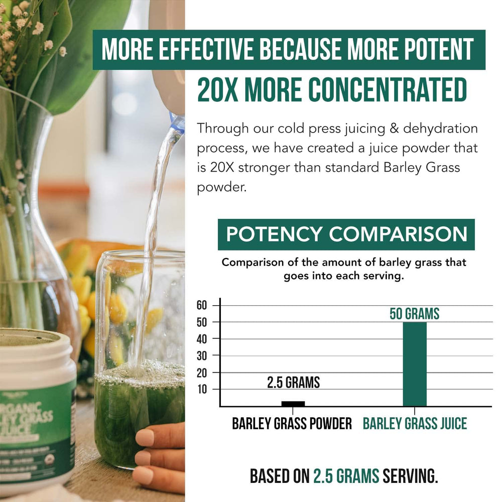 Bioactive raw barley grass highlighting enzymes