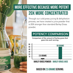Bioactive raw barley grass highlighting enzymes