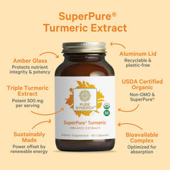 Graphic illustrating 500 mg bioactive curcuminoids in turmeric