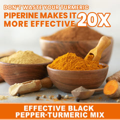 Oil-based delivery system for superior curcuminoid absorption