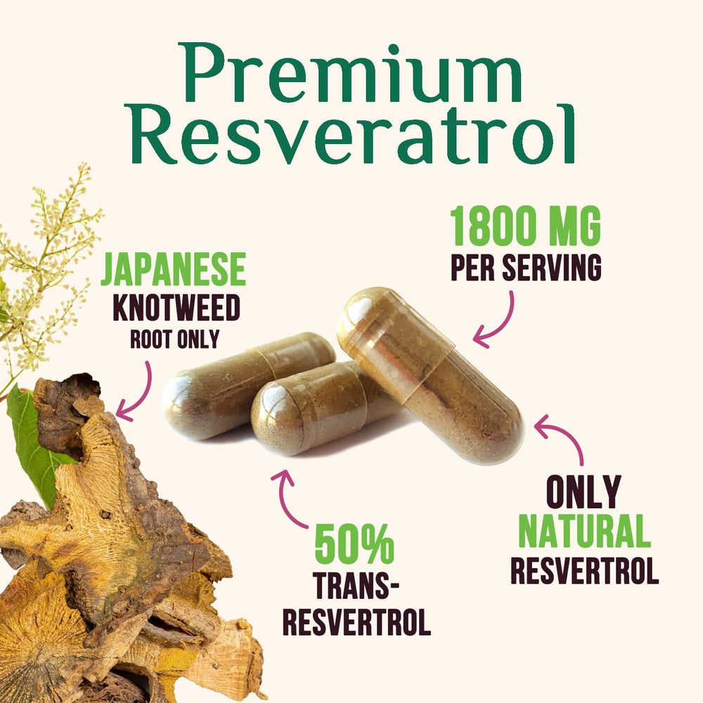 Bioavailable trans-resveratrol from knotweed