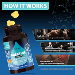 Gluten-free and vegetarian-friendly Biobor Creatine Monohydrate Gummies label