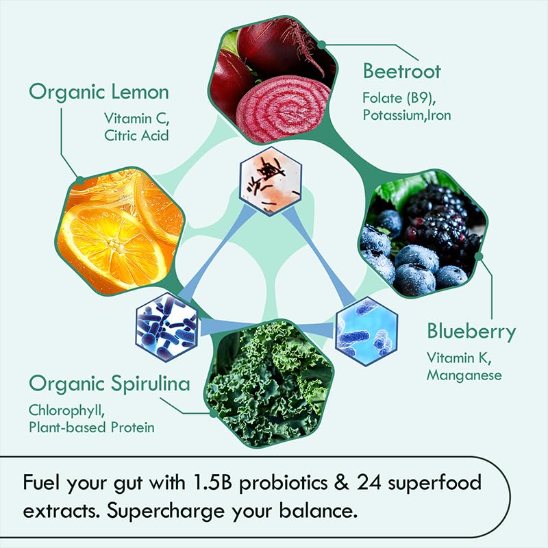 Illustration of gut health and cellular vitality