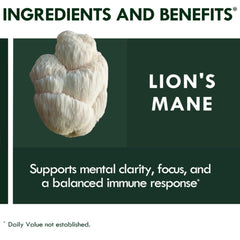 Lions Mane, Cordyceps, Reishi mushroom blend for immune and brain support