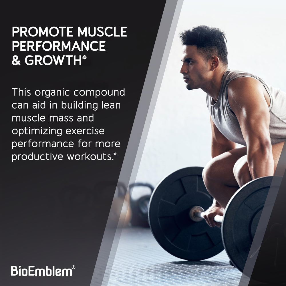 Close-up of fine micronized creatine powder texture