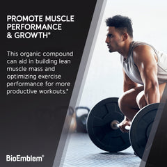 Close-up of fine micronized creatine powder texture