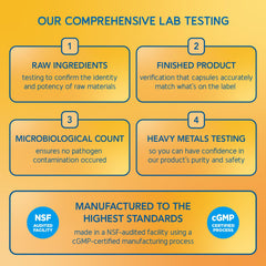 Illustration representing energy, brain, and heart health benefits