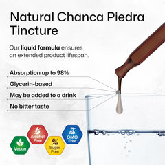 BIO KRAUTER glycerin-base tincture close-up with smooth flavor impression.