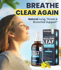 Dropper dispensing mullein leaf tincture