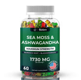 Biolore Sea Moss Gummies with Ashwagandha and Irish Sea Moss