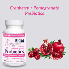 Close-up illustration of probiotic strains including Lactobacillus crispatus