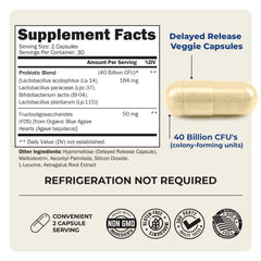 Illustration of digestive health and gut balance