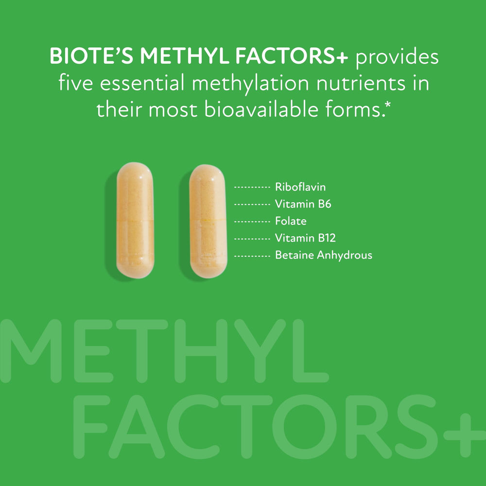 Promotes Normal Methylation icon