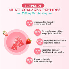 Biotin vitamins and hyaluronic acid in gummies ingredients