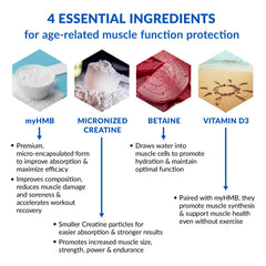 Illustration of creatine monohydrate and HMB blend