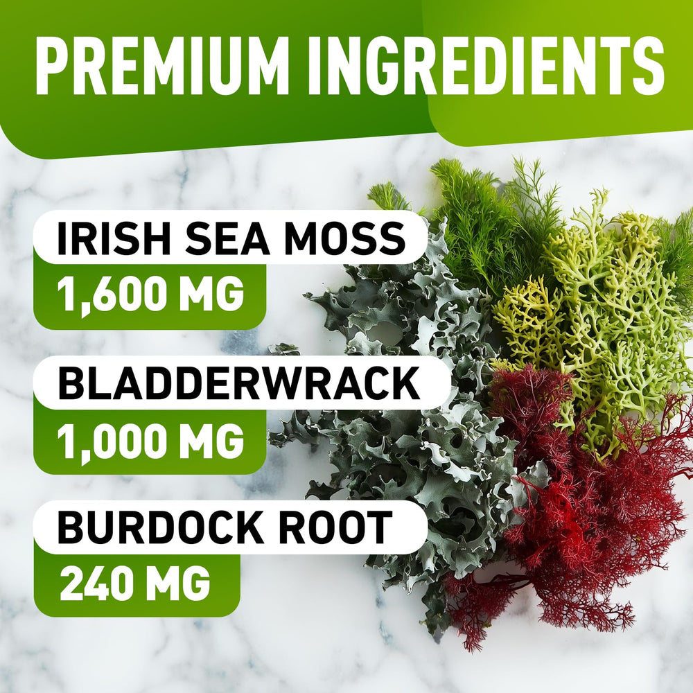 Close-up of Sea Moss Gummies texture