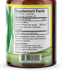 Bioxcell Stem Cell Enhancer capsules