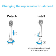 Travel-ready Bitvae D2 replacement head packaging