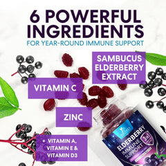 Illustration of black elderberry extract gummies