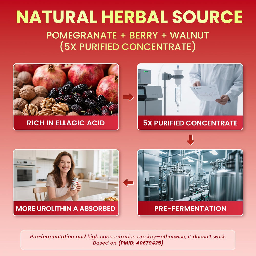 Black Pepper Extract enhances absorption