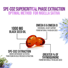Nigella sativa seeds and thymoquinone illustration