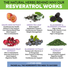 Blackberry powder and noni fruit as part of the blend