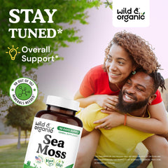 Bladderwrack and burdock root ingredients used in sea moss capsules