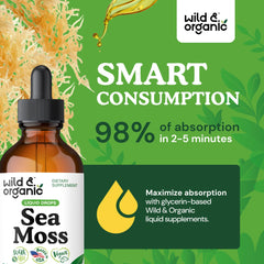 Bladderwrack seaweed detail
