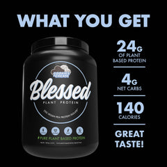 BLESSED protein powder ingredients label highlights gluten-free and dairy-free attributes.