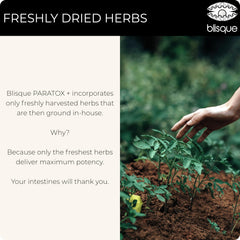 Blisque PARATOX+ 2 oz bottle