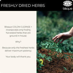 Close-up of Blisque Colon Cleanse capsules