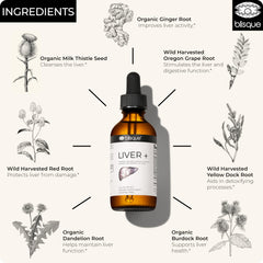 Milk thistle, ginger, Oregon grape, dandelion and red root ingredients