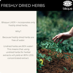 Close-up of bottle with droplets