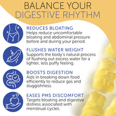 Gummies designed for hormonal cycle daily support