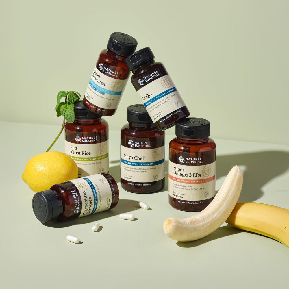 Blood Pressurex ingredients infographic