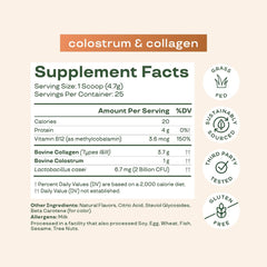Vitamin B-12 symbolism and gut health concept with packaging